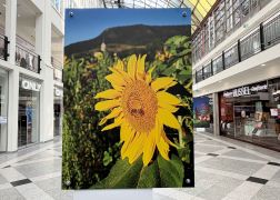 Charity Auktion Zur Fotoausstellung In Der Goethe Galerie In Jena 2026 015